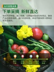 全深圳食堂承包與配送一體化服務(wù) 為公司與學(xué)校提供優(yōu)質(zhì)餐飲解決方案